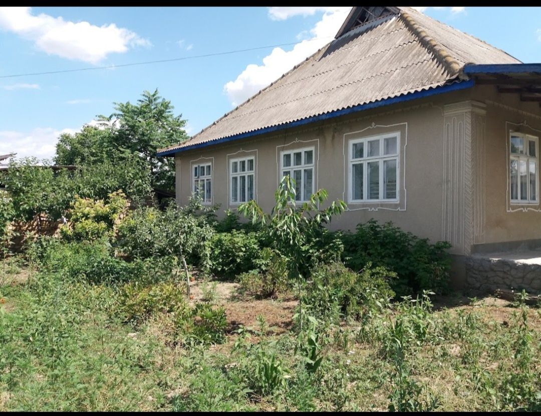 Продам дом в с.Надежда,Б-Днестровском районе (бывший Саратский район)