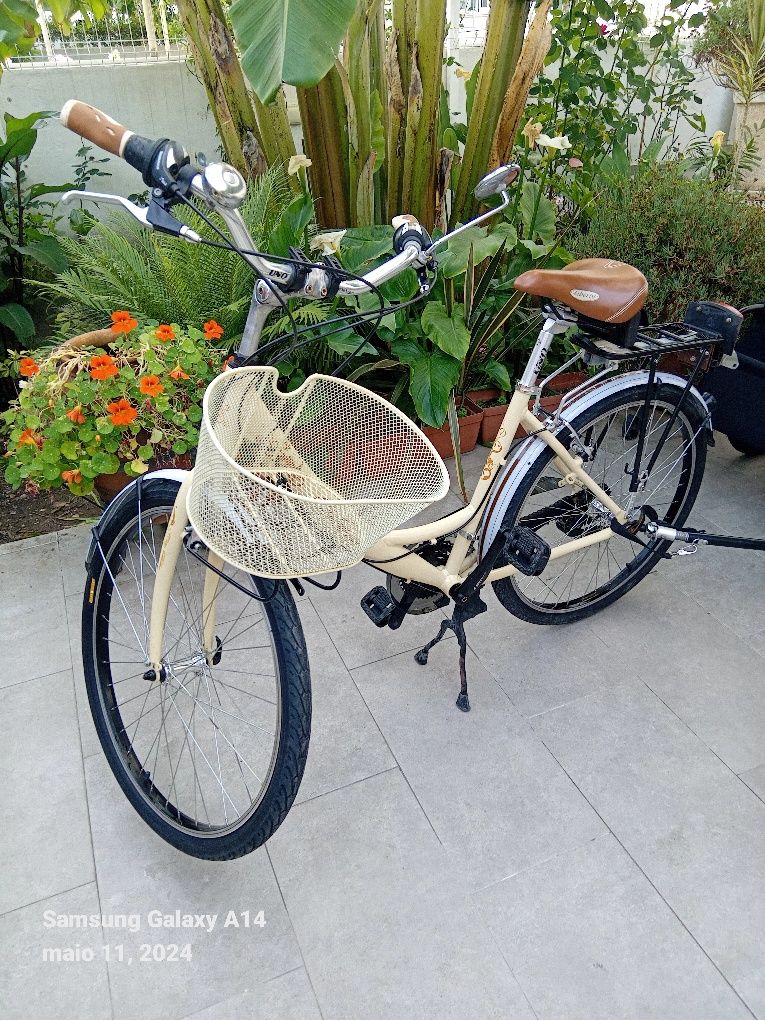 Bicicleta com atrelado como novo