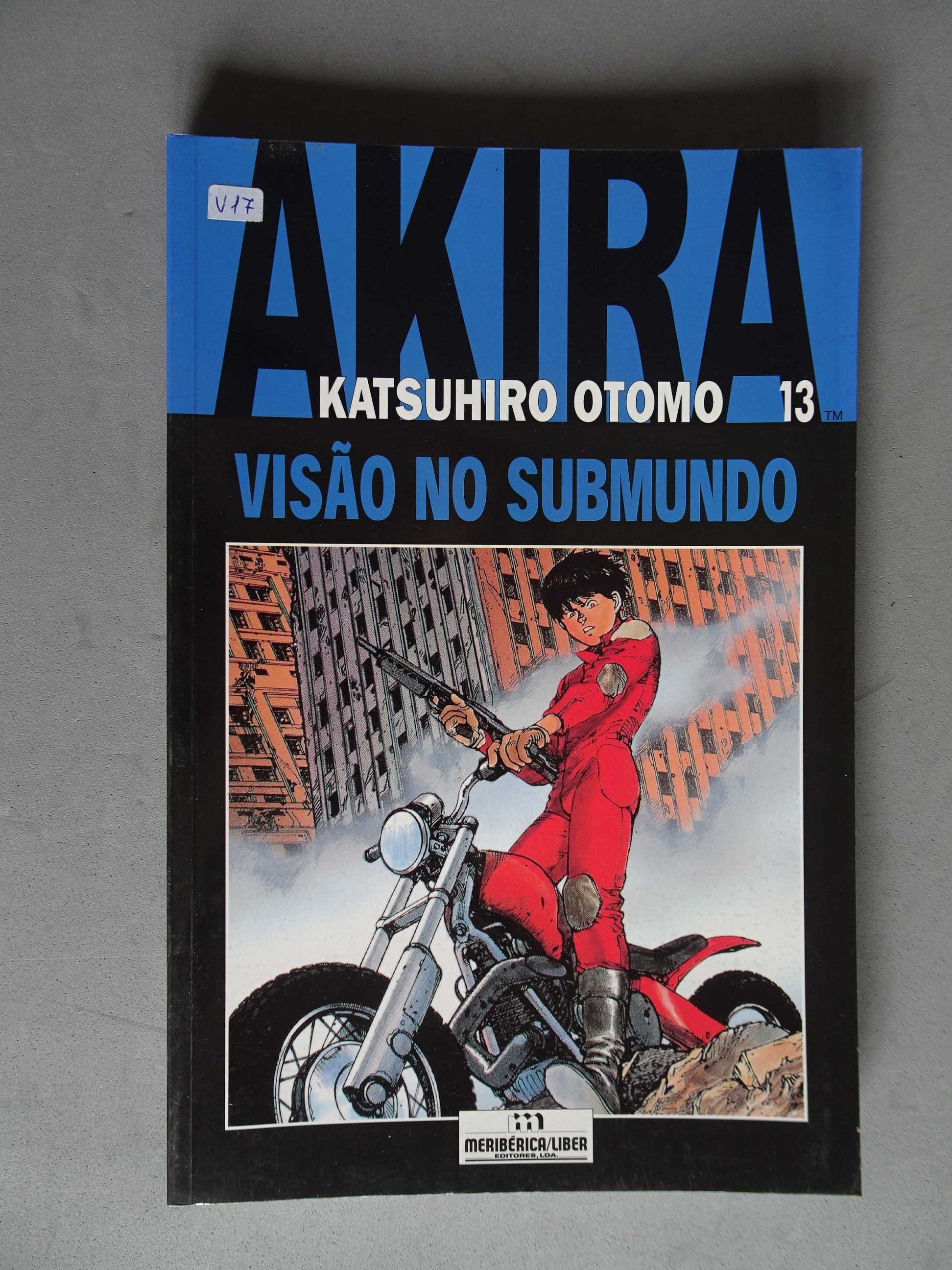 Livro Meribérica - Akira - Katsuhiro Otomo 13 - Visão no submundo