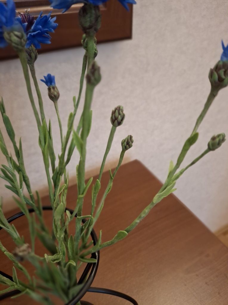 Продаю васильки из полимерной глины, холодный фарфор.