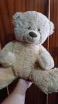 Urso de peluche (médio)