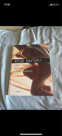 atlas anatomii ciala nowy