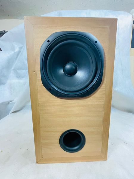 CZESCI AUDIO subwoofer Diy Tonsil solidny wzmacniacz bass 20cm