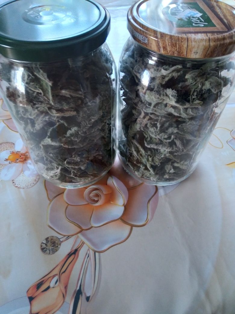 Mięta ekologiczna suszona