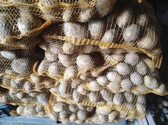 Sprzedam ziemniaki żółte Denar