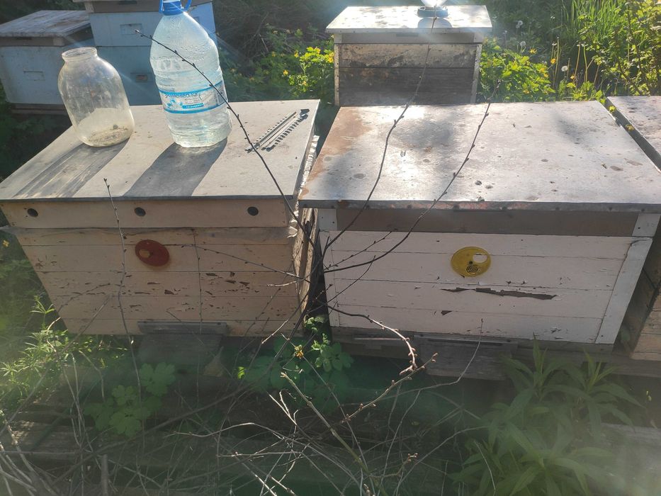 Улья, улей для пчел, разные