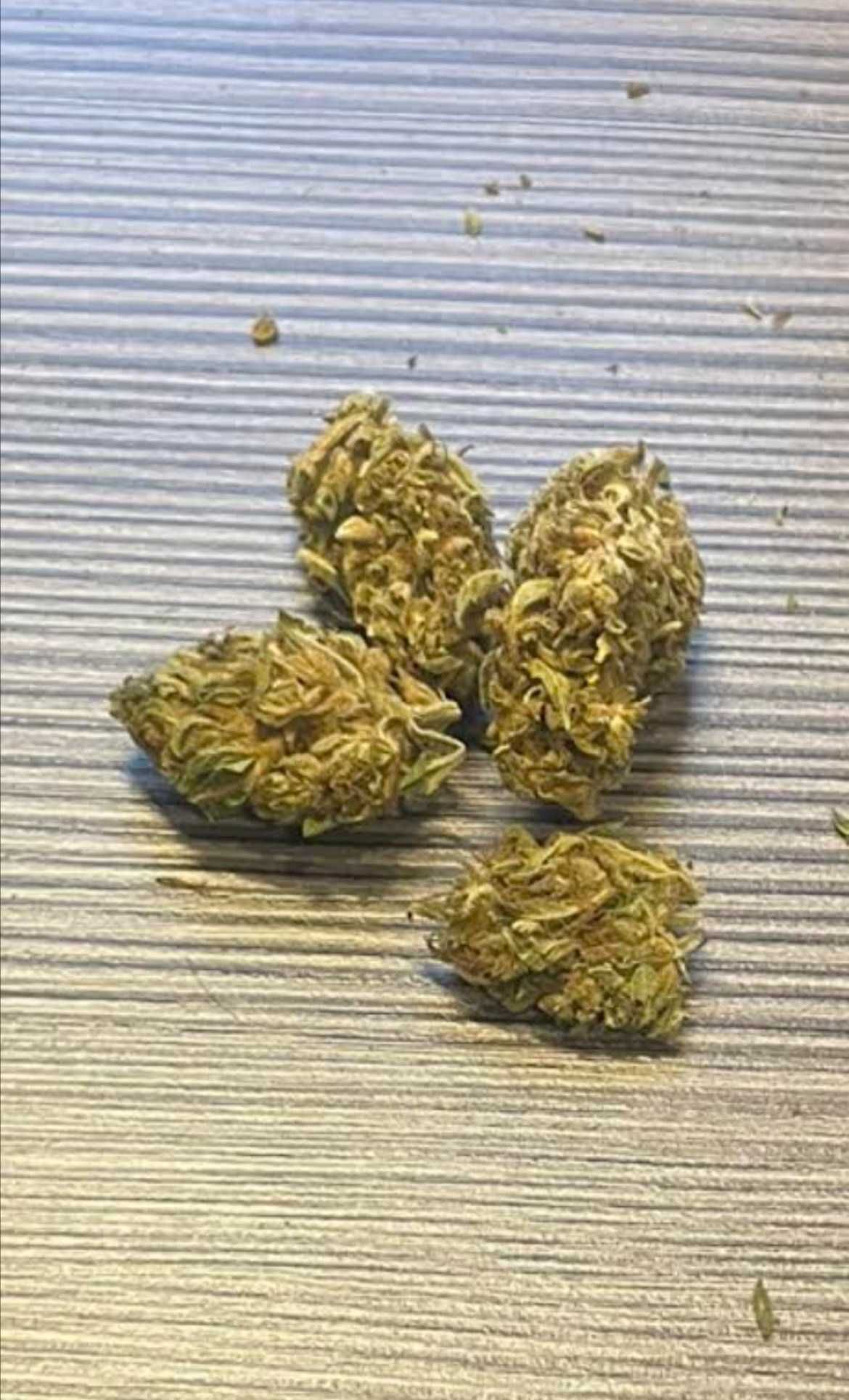 Susz CBD Platinum Sensi Weed 50g Najwyższa jakość Certyfikat legalnośc