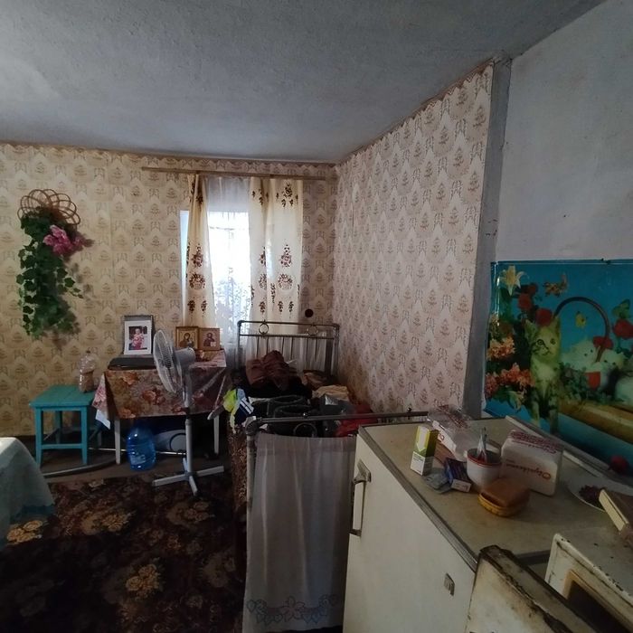 Продам будинок, с. Кінецьпіль