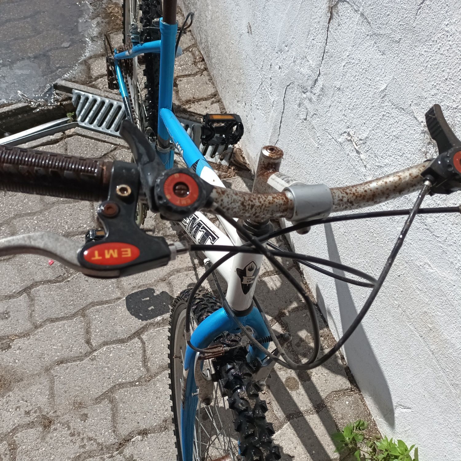 Bicicleta de adulto
