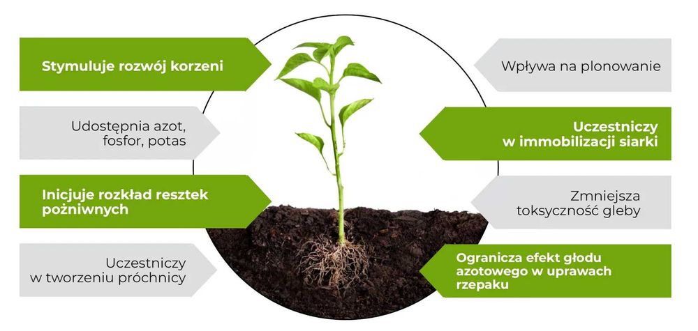 Biospektrum  WG - bakterie doglebowe na 20 ha, azot, fosfor, potas