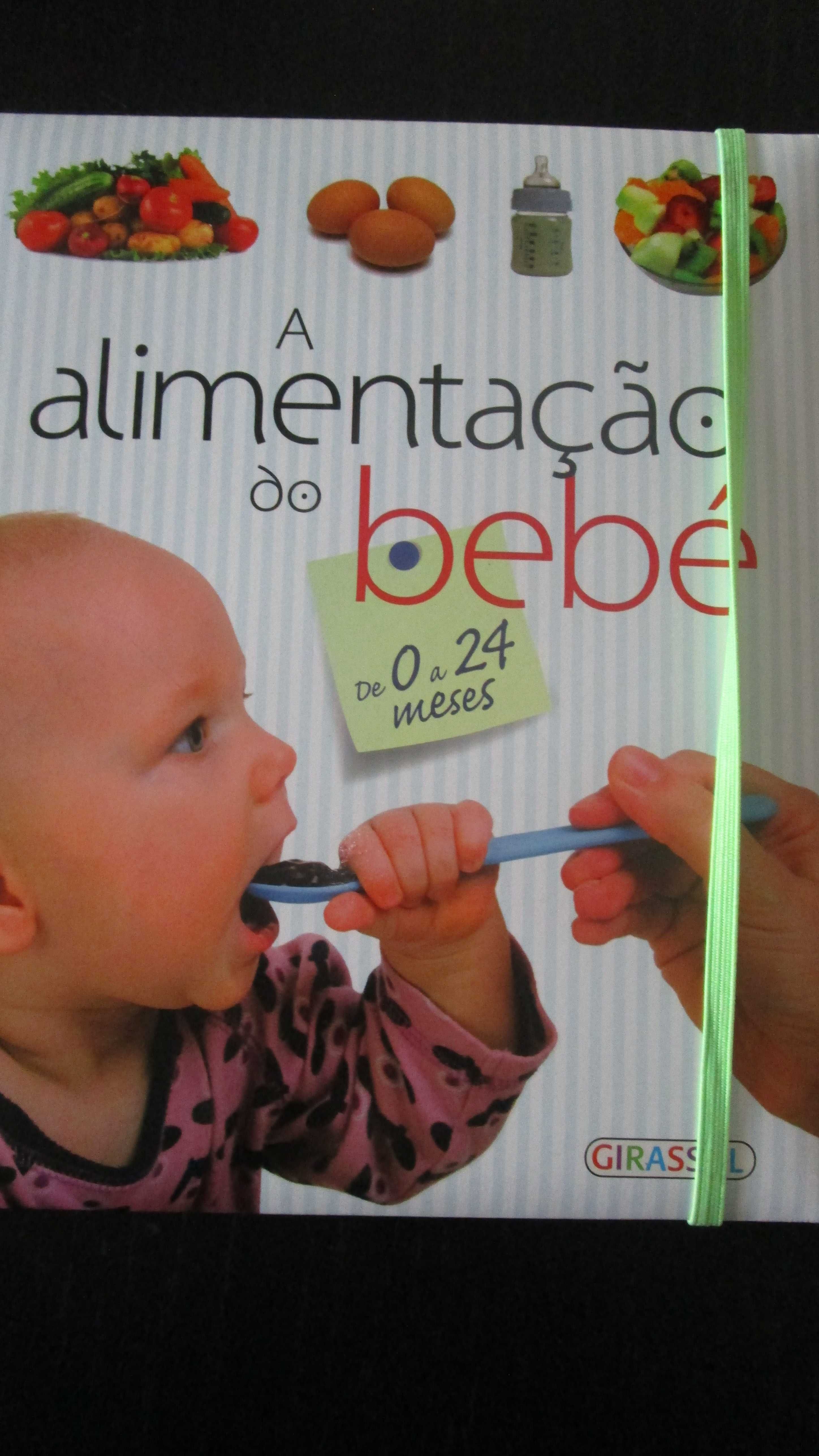 Livro / Guia A Alimentação do Bebé (de 0 a 24 meses) praticamente novo