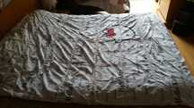 Edredon Hello Kitty Cama Solteiro + Almofada