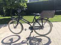 Rower  damski holenderski Batavus