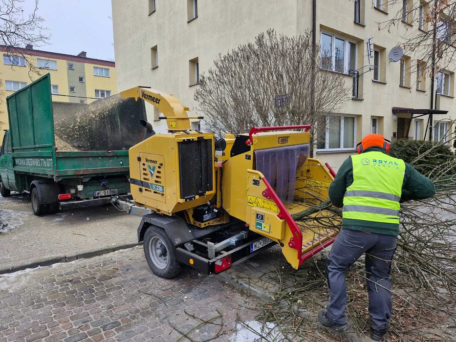 Wycinanie drzew, czyszczenie działek, usuwanie krzaków, samosiejek
