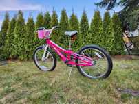 Rower Specialized 20