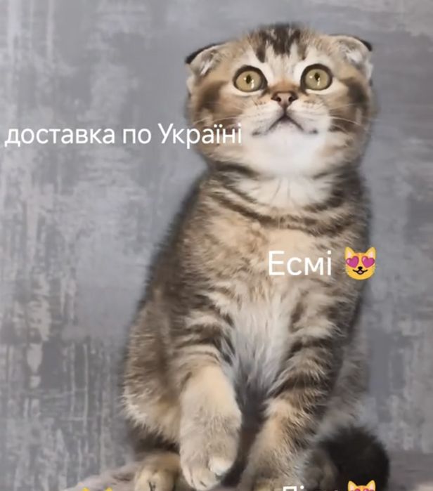 Висловуха дівчинка
