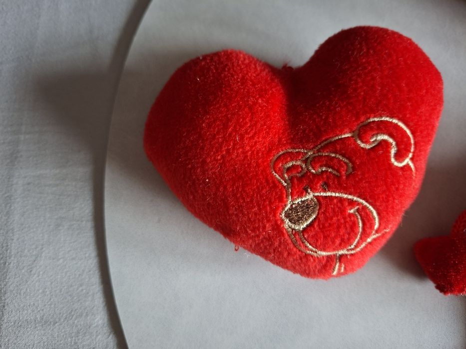 Miś walentynki serduszka
