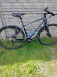 Rower Specjalized Vita Elite Karbon