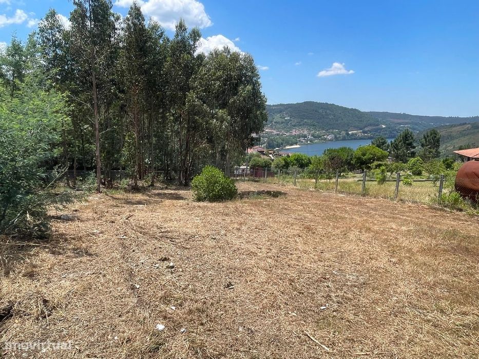 Terreno  para venda