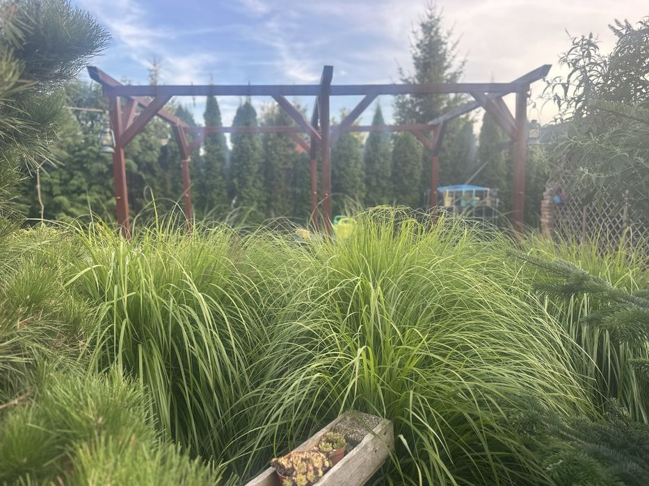 Działka ROD w Opalenicy 600m2 z domem z bali