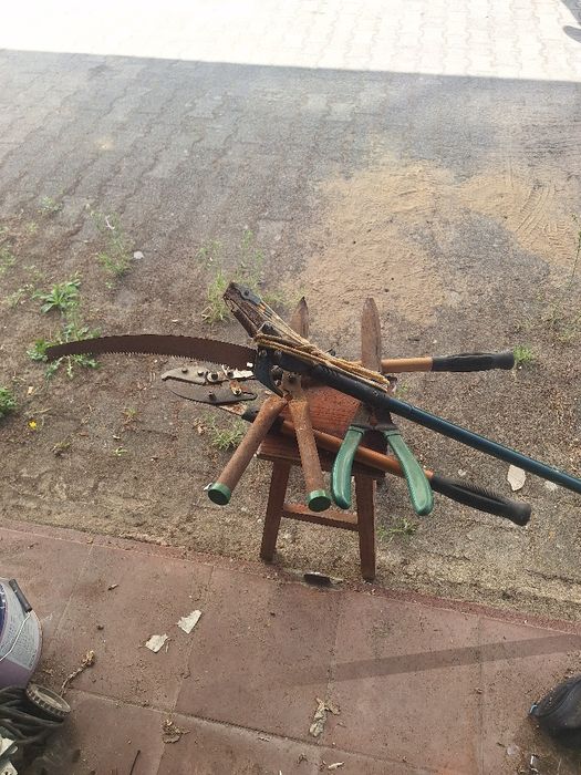 Ferramentas de podar.