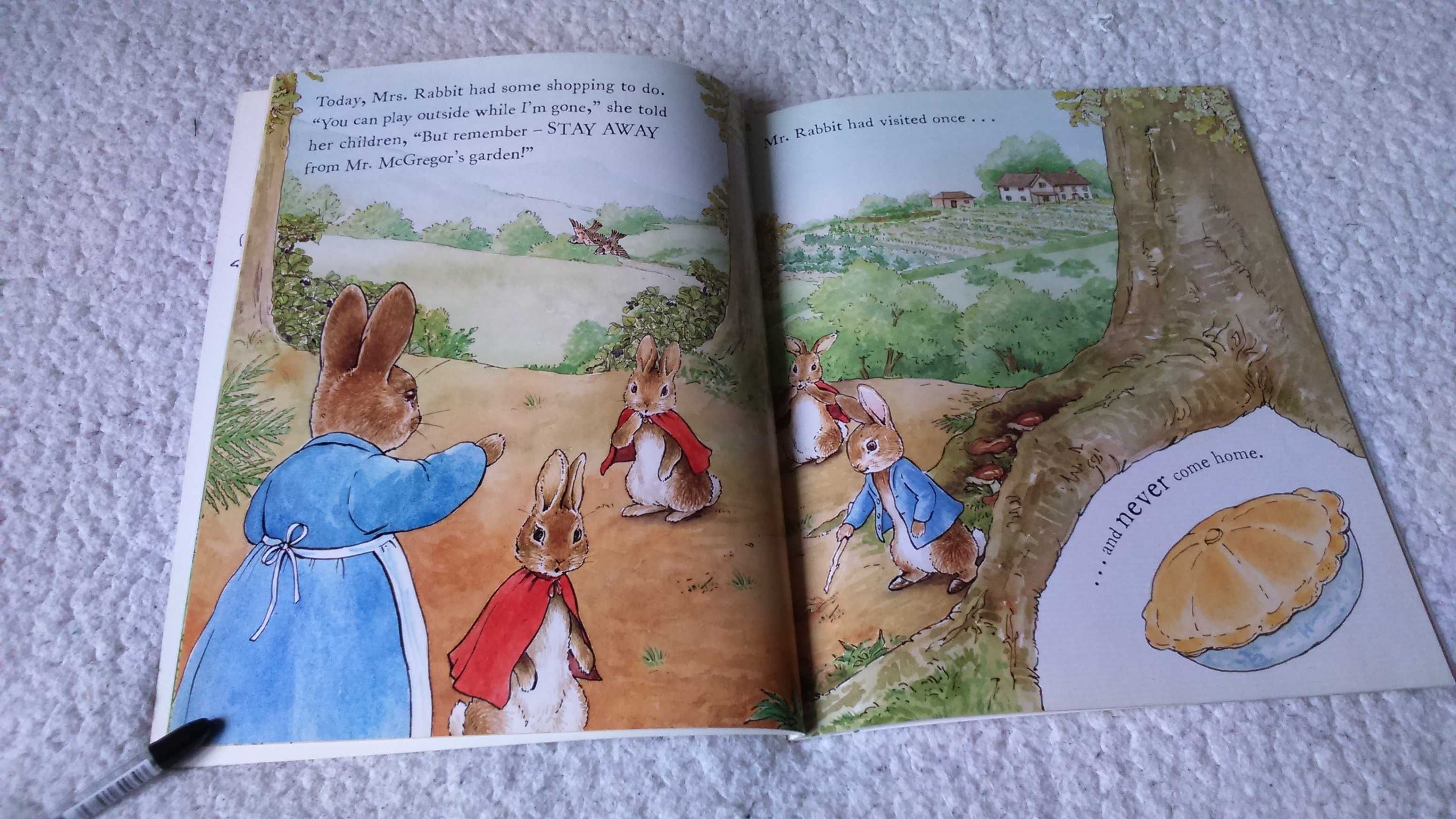 Дитяча книга англійською The Tale of a Naughty Little Rabbit    Potter