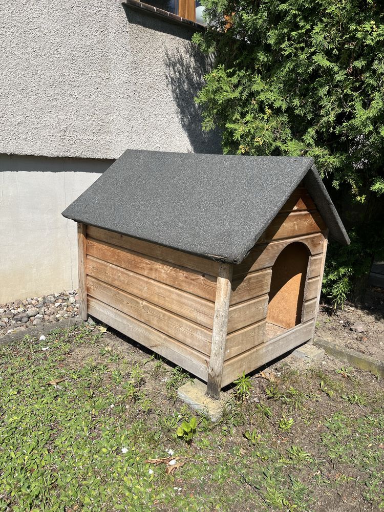 Buda dla psa solidna