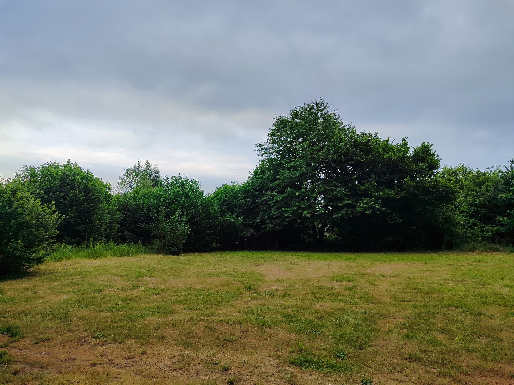 * Ładna działka Żory 5 min od centrum 1090m2 w otoczeniu drzew *