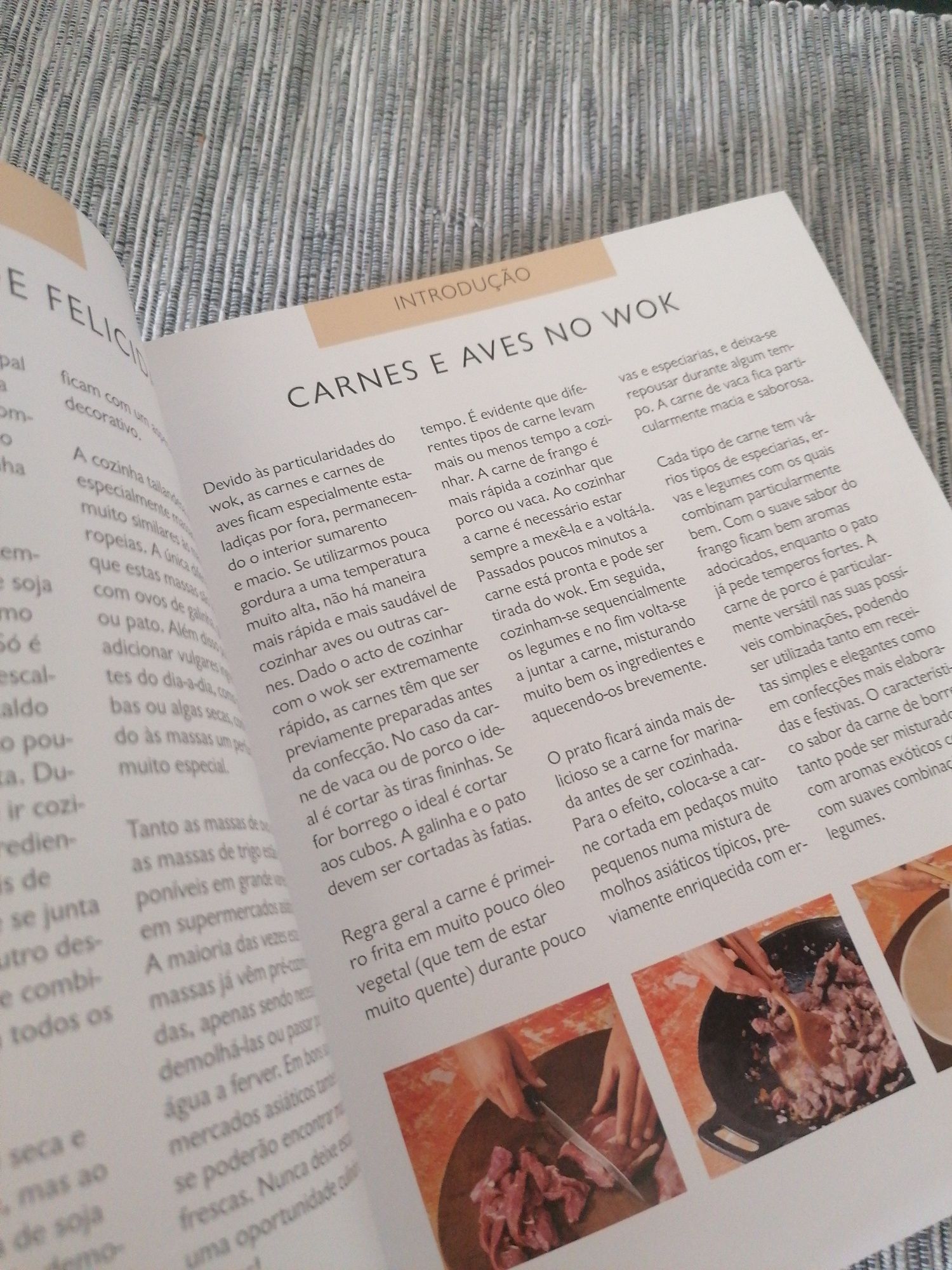 Livro receitas Wok