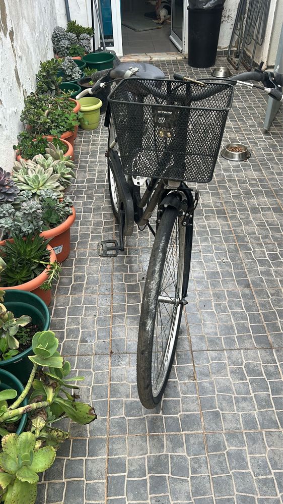 Bicecleta mulher
