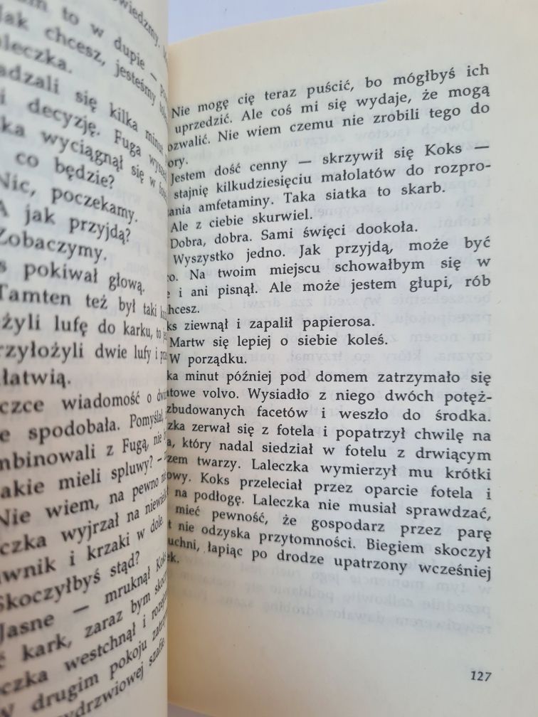 Parszywy dublet - Robert Brutter