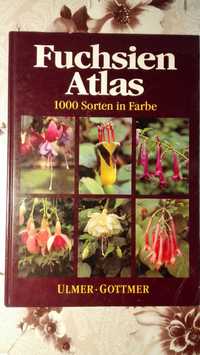 Fuchsien Atlas fuksja kwiat katalog album