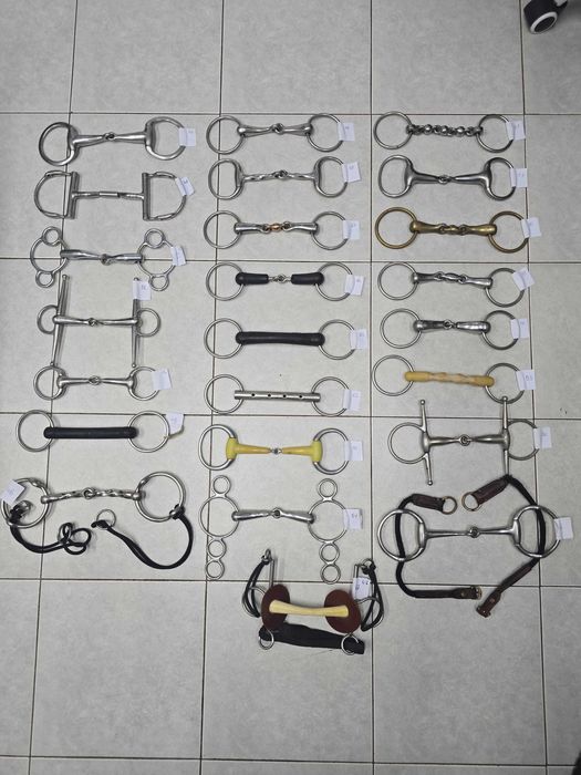 Wędzidła dla koni różnego typu – duży wybór, atrakcyjne ceny