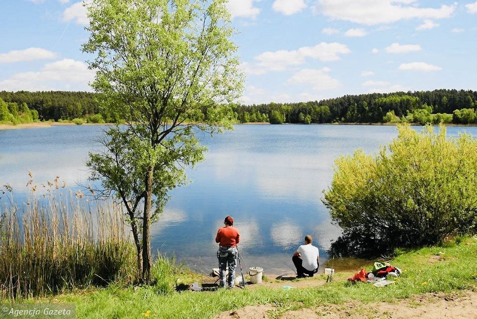 Domek nad jeziorem Warmia i Mazury. Las, łodka, kameralnie. Olsztyn