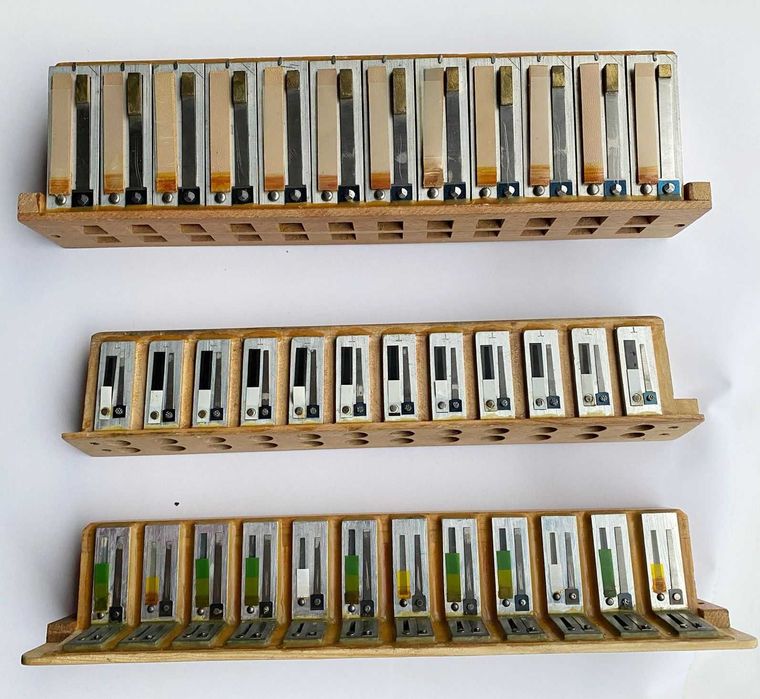 Akordeon Lagi Basowe HOHNER