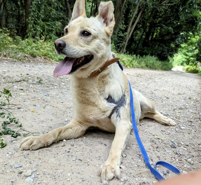 Przepiękna Edna szuka domu