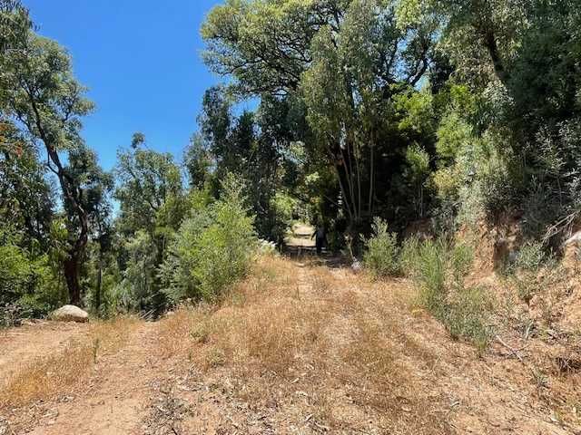 Terreno na Foia, Monchique