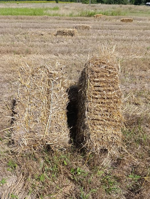 Продам сіно та солому в тюках