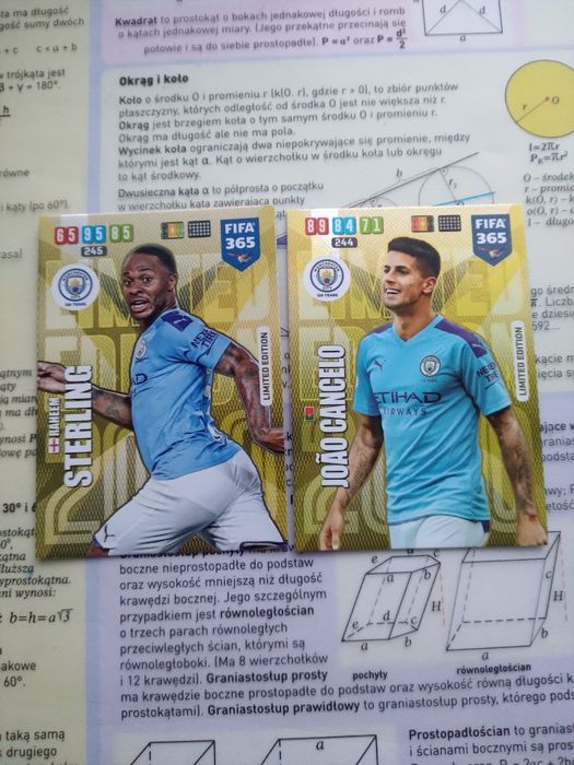 Dwie karty fifa 2019 Limitowana Edycja Manchester City