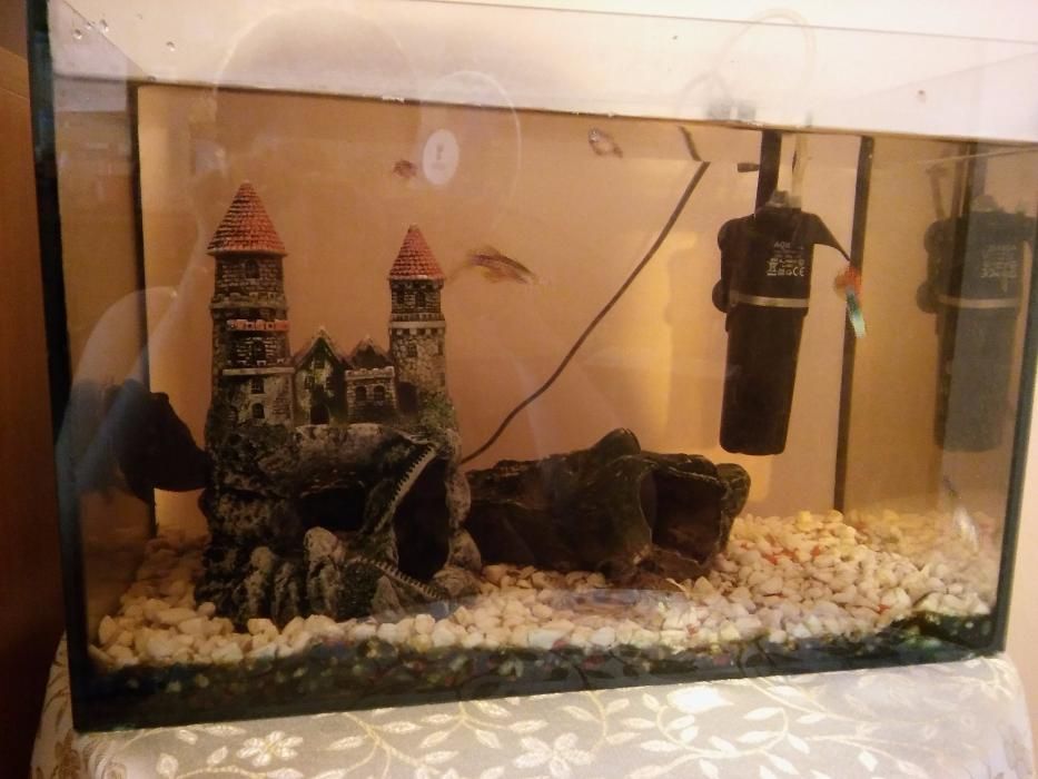 Terrarium
