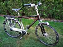 Rower holender, Gazelle Chamonix - C8