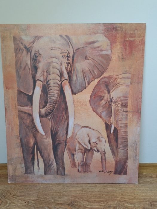 Obraz słoni na płycie pilśniowej