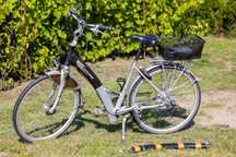 Rower damski elektryczny Batavus Padova Easy