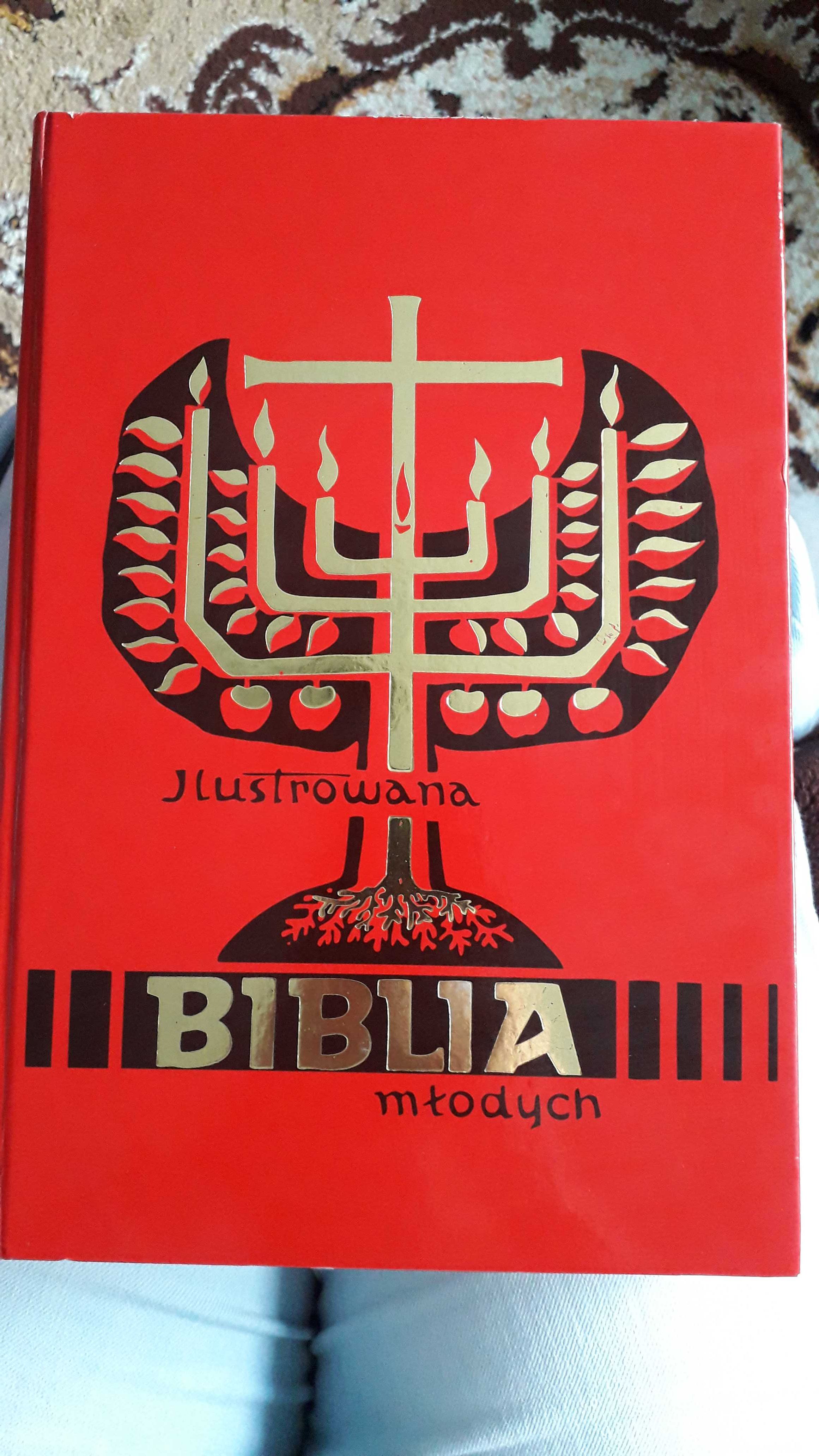 Ilustrowana Biblia młodych