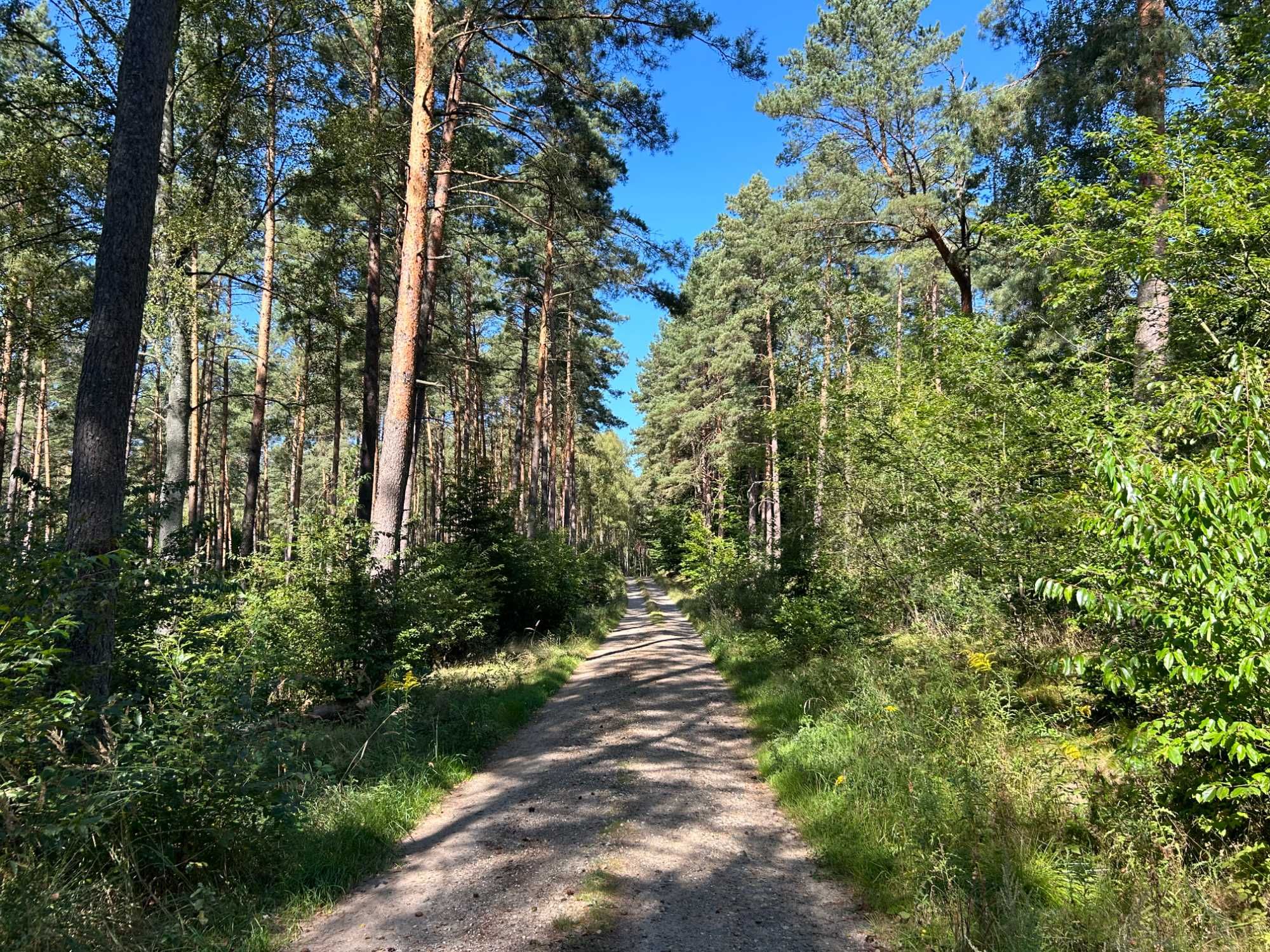 Ogrodzony domek na wakacje z psem na odludziu.
