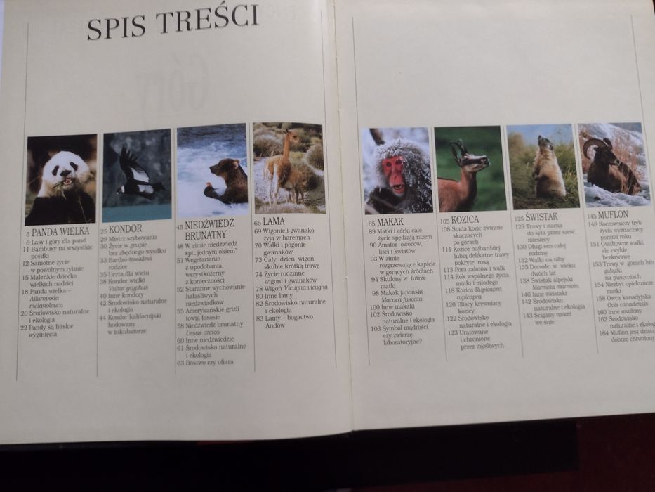 Encyklopedia dzikich zwierząt Góry