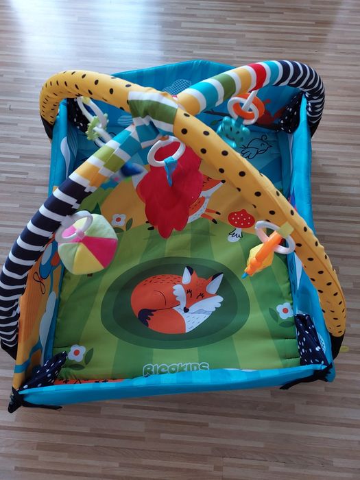 Mata edukacyjna Ricokids