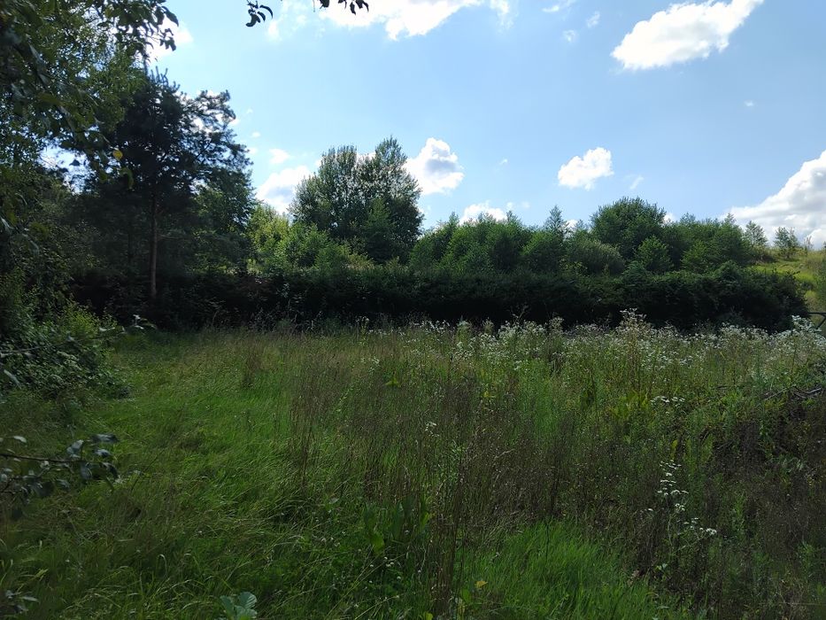 Продаю земельну ділянку Свалява Закарпатської