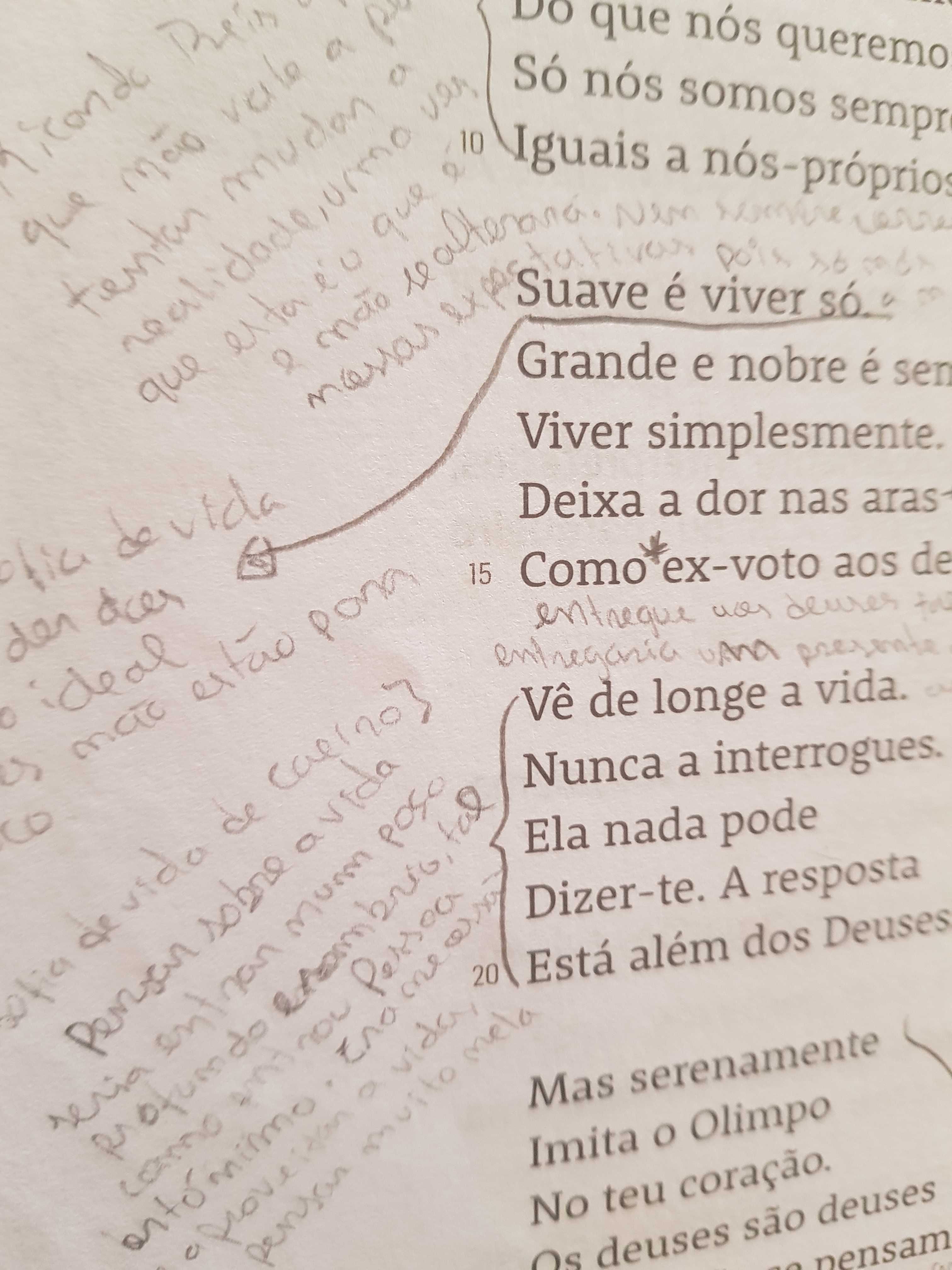 Livros 12° ano usados