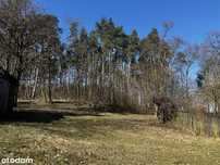 Działka z połową domu w spokojnej, zalesionej okolicy